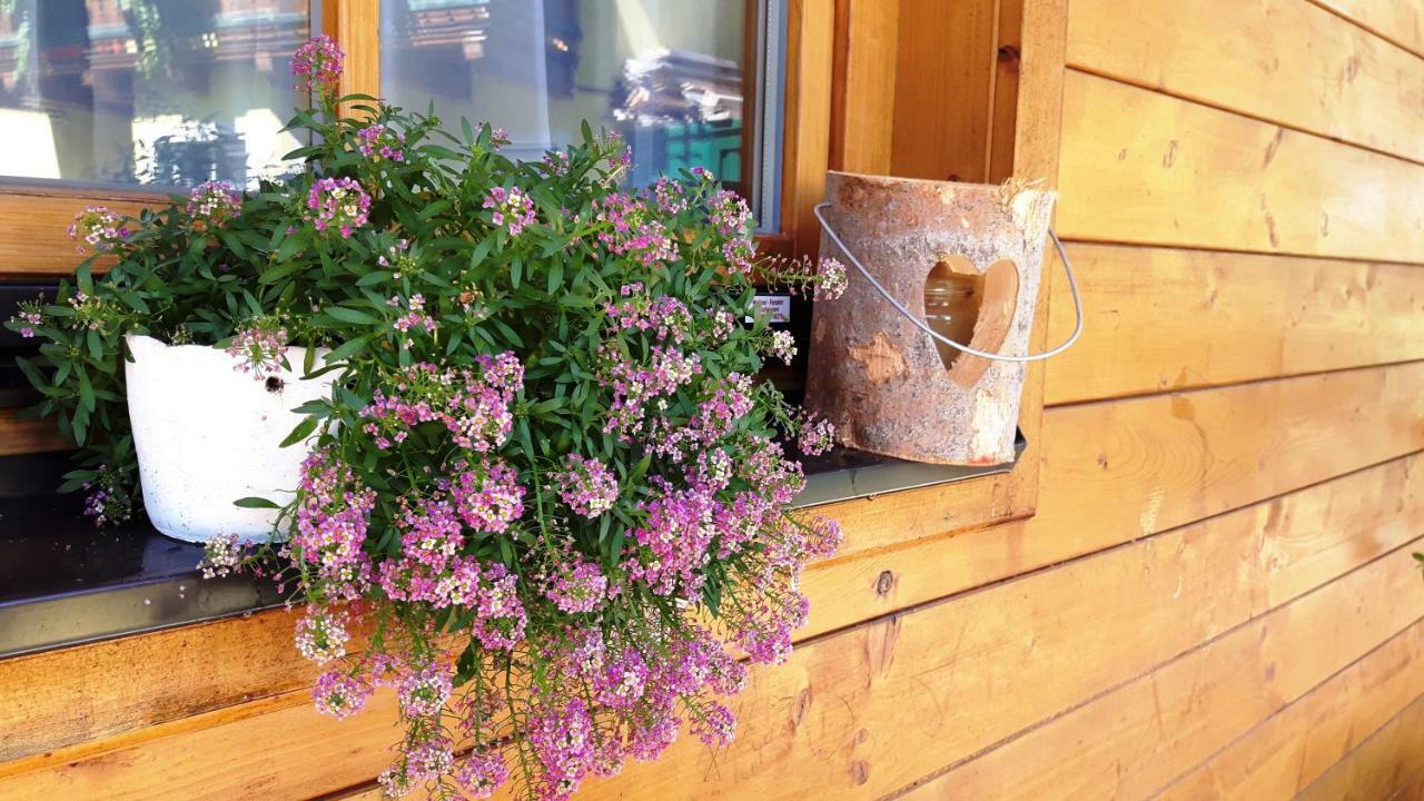 Landhaus Sonnenschein Schladming Εξωτερικό φωτογραφία
